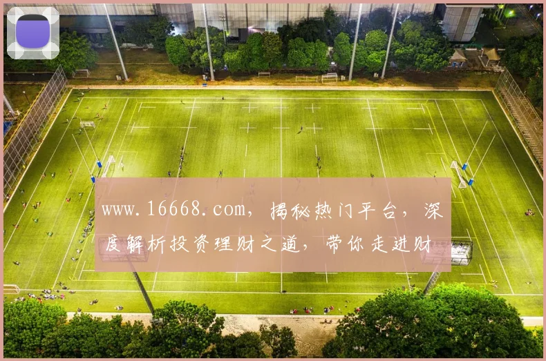 www.16668.com，揭秘热门平台，深度解析投资理财之道，带你走进财富之门