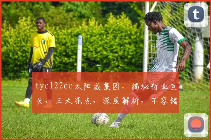 tyc122cc太阳成集团，揭秘行业巨头，三大亮点，深度解析，不容错过