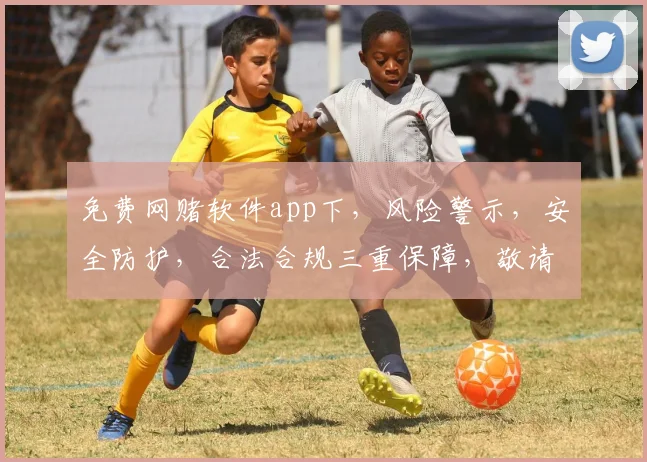 免费网赌软件app下，风险警示，安全防护，合法合规三重保障，敬请留意