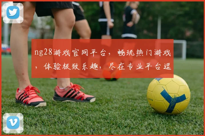 ng28游戏官网平台，畅玩热门游戏，体验极致乐趣，尽在专业平台逗逗逗