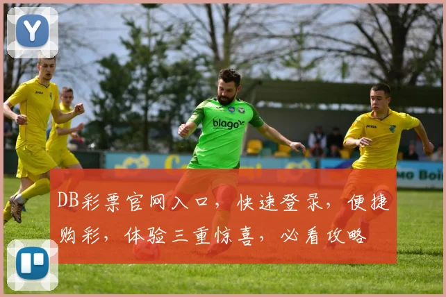 DB彩票官网入口，快速登录，便捷购彩，体验三重惊喜，必看攻略